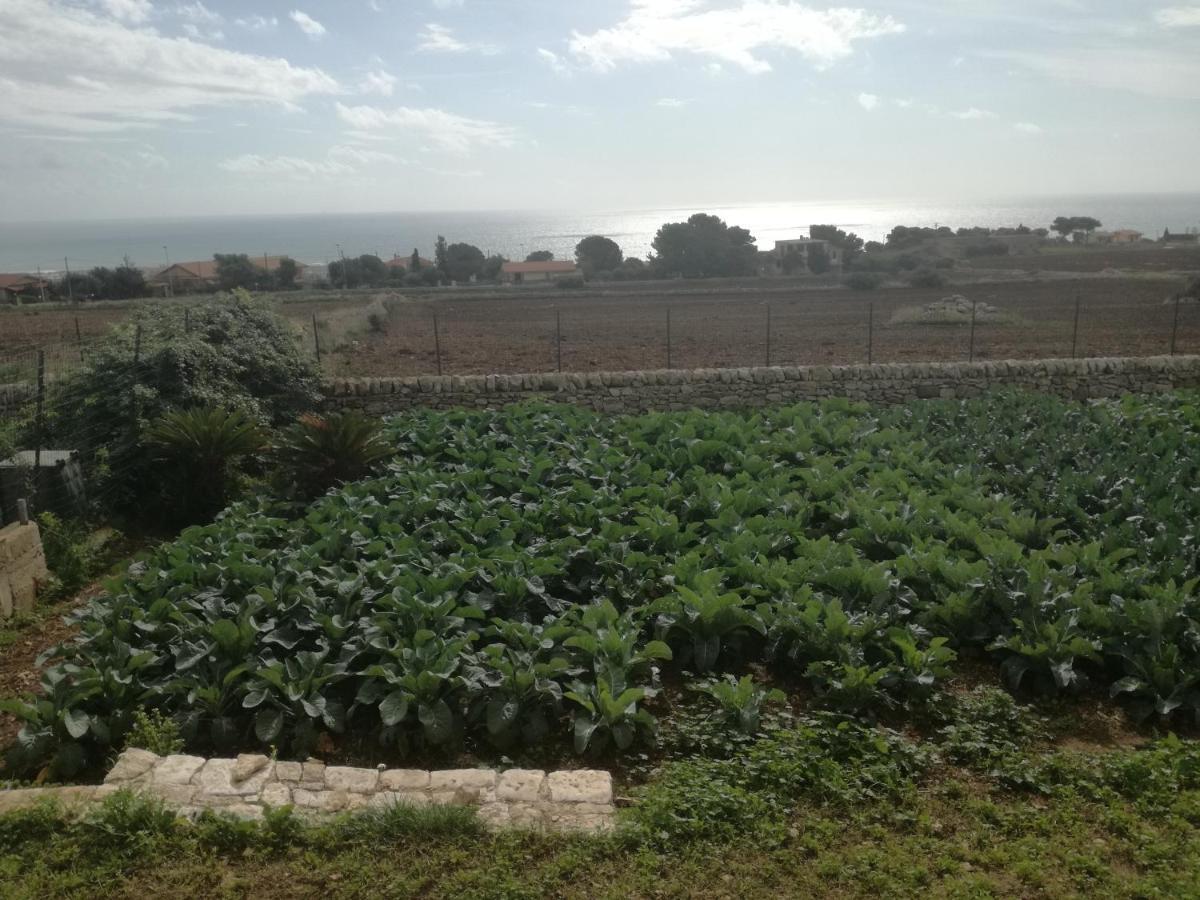 Villa Bove Marina di Ragusa Exterior foto